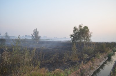 Pożar w Świniarach (ZOBACZ ZDJĘCIA) - 11