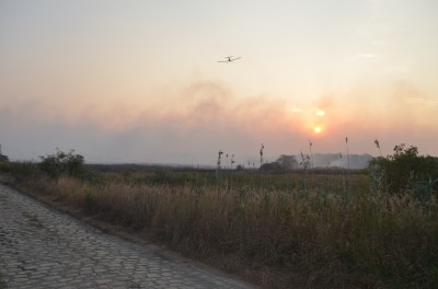 Pożar w Świniarach (ZOBACZ ZDJĘCIA) - 12