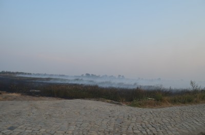 Pożar w Świniarach (ZOBACZ ZDJĘCIA) - 15