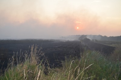 Pożar w Świniarach (ZOBACZ ZDJĘCIA) - 19