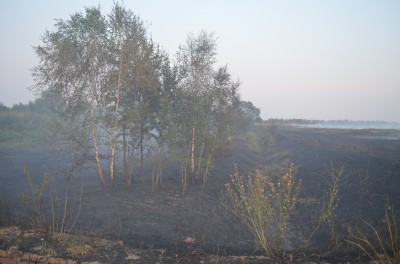 Pożar w Świniarach (ZOBACZ ZDJĘCIA) - 20