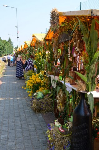 W Miękini bawili się na Festiwalu Lata (ZDJĘCIA) - 0