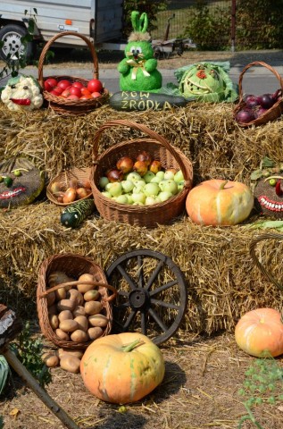 W Miękini bawili się na Festiwalu Lata (ZDJĘCIA) - 2
