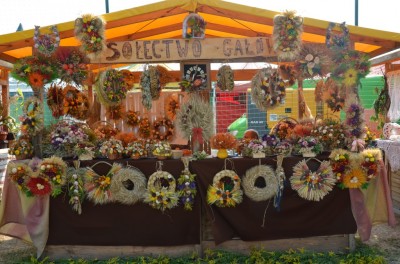 W Miękini bawili się na Festiwalu Lata (ZDJĘCIA) - 6
