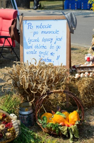 W Miękini bawili się na Festiwalu Lata (ZDJĘCIA) - 8