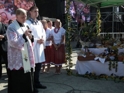 Bawili się w Kobierzycach. Czas dożynek (ZDJĘCIA) - 15