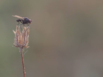 Lato, lato zostań z nami (PROGNOZA, ZDJĘCIA) - 10