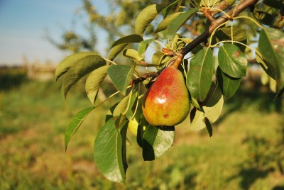 Lato, lato zostań z nami (PROGNOZA, ZDJĘCIA) - 4