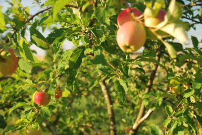 Lato, lato zostań z nami (PROGNOZA, ZDJĘCIA) - 5