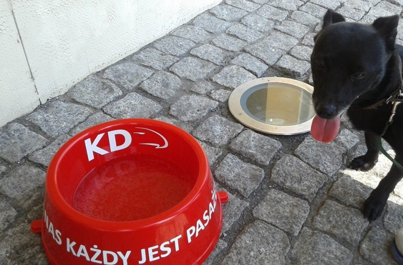 Kolejarze wystawiają miski z wodą dla psów (ZDJĘCIA) - 