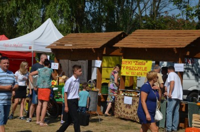Ryba lubi pływać. Jubileuszowe Dni Karpia (ZDJĘCIA) - 3