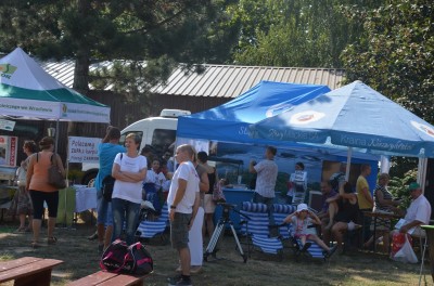 Ryba lubi pływać. Jubileuszowe Dni Karpia (ZDJĘCIA) - 4
