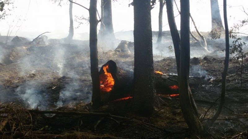 Wałbrzych: Pożar na zboczu góry Chełmiec (ZOBACZ ZDJĘCIA) - fot. Michał Wyszowski (Radio Wrocław)