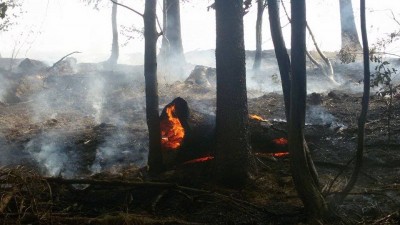Wałbrzych: Pożar na zboczu góry Chełmiec (ZOBACZ ZDJĘCIA)