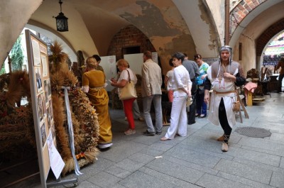 Święto wina w Środzie Śląskiej  - 4