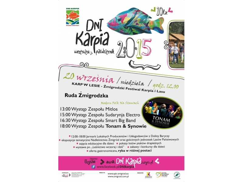 Festiwal lasu w Rudzie Żmigrodzkiej (ZDJĘCIA)