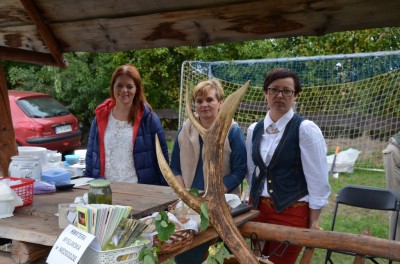 Festiwal lasu w Rudzie Żmigrodzkiej (ZDJĘCIA) - 11