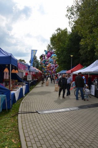Festiwal lasu w Rudzie Żmigrodzkiej (ZDJĘCIA) - 13
