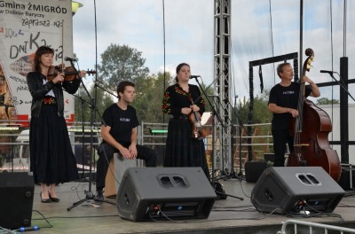 Festiwal lasu w Rudzie Żmigrodzkiej (ZDJĘCIA) - 15