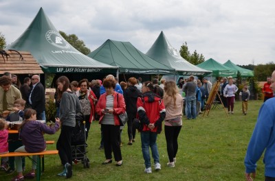 Festiwal lasu w Rudzie Żmigrodzkiej (ZDJĘCIA) - 21