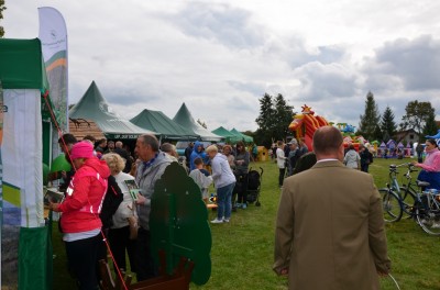 Festiwal lasu w Rudzie Żmigrodzkiej (ZDJĘCIA) - 23