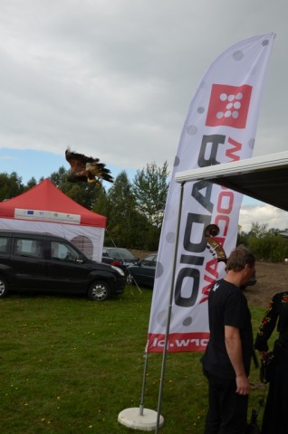 Festiwal lasu w Rudzie Żmigrodzkiej (ZDJĘCIA) - 27