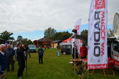 Festiwal lasu w Rudzie Żmigrodzkiej (ZDJĘCIA) - 35