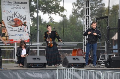 Festiwal lasu w Rudzie Żmigrodzkiej (ZDJĘCIA) - 3