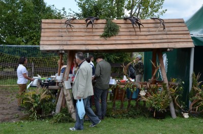 Festiwal lasu w Rudzie Żmigrodzkiej (ZDJĘCIA) - 4