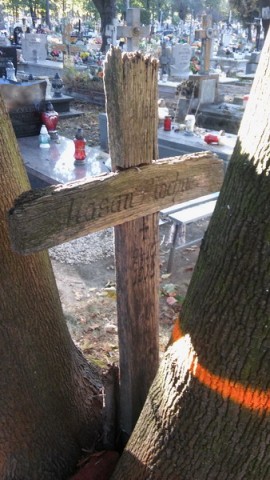 Legniccy miłośnicy historii na tropach zagadki sprzed wieku - 10