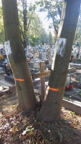 Legniccy miłośnicy historii na tropach zagadki sprzed wieku - 11