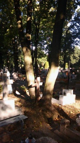 Legniccy miłośnicy historii na tropach zagadki sprzed wieku - 8