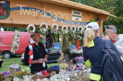 Festyn Rodzinny Taaaka Ryba w Goszczu koło Twardogóry - 13