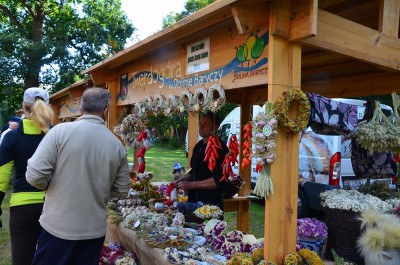 Festyn Rodzinny Taaaka Ryba w Goszczu koło Twardogóry - 14