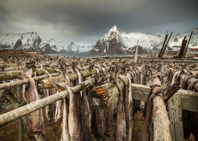 Dolnoślązacy wyróżnieni w konkursie National Geographic - 13