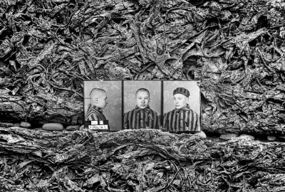 Dolnoślązacy wyróżnieni w konkursie National Geographic - 51