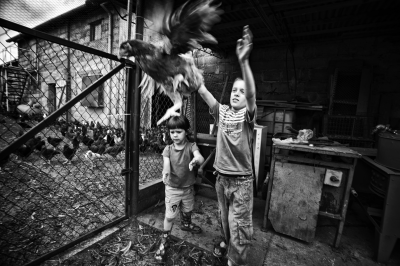 Dolnoślązacy wyróżnieni w konkursie National Geographic - 16