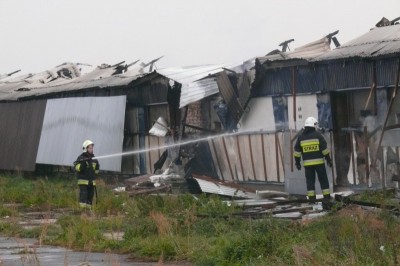 Pożar fermy: Spłonęło 40 tysięcy kurczak&oacute;w (ZDJĘCIA)