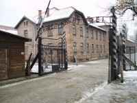 Polacy a Holocaust. Sikora pisze do Grzelczyka - (Fot. Wikipedia)