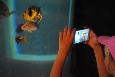 Pierwsze urodziny wrocławskiego Afrykarium - 9