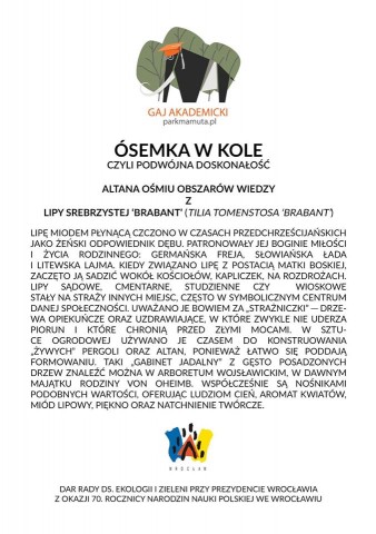 Wrocław: Na Oporowie powstaje Gaj Akademicki - 13