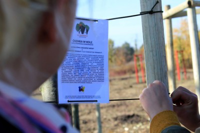 Wrocław: Na Oporowie powstaje Gaj Akademicki - 3
