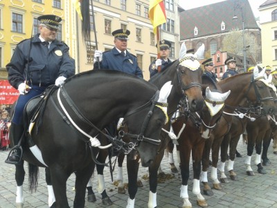 11 listopada we Wrocławiu: Apel, parada i Marsz Patriotów - 12