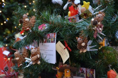 TRADYCYJNE STOŁY WIGILIJNE – DOLNY ŚLĄSK 2015 - 8