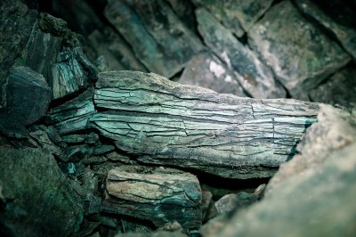 W Leszczynie odkryto zabytkową kopalnię (ZDJĘCIA) - 15