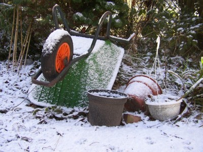 Ogród zimą (PORADNIK)
