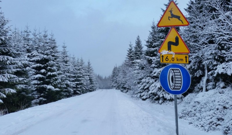 Nikt nie odśnieża drogi prowadzącej na Przełęcz Okraj w Karkonoszach - fot. Piotr Słowiński