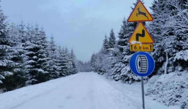 Wciąż biało i śnieżnie na dojeździe do Przełęczy Okraj - fot. Piotr Słowiński