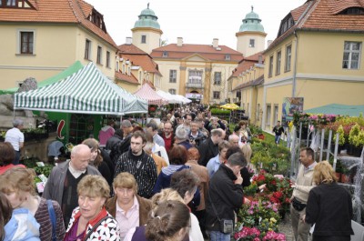 Dolnośląski Rozkład Jazdy w Książu (Zobacz zdjęcia) - 42