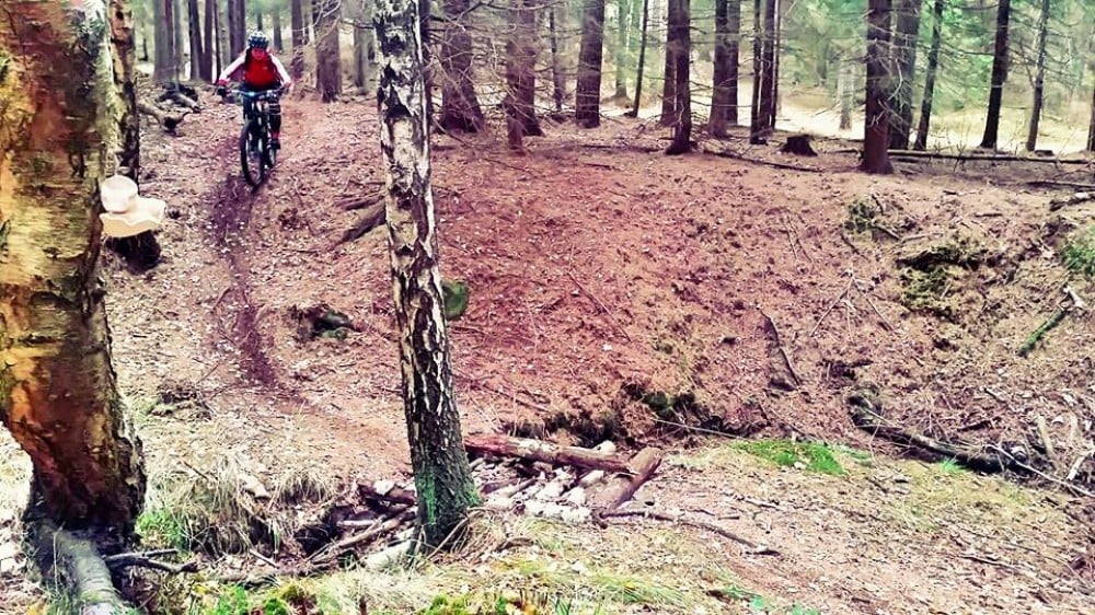 Budują niezwykłą trasę rowerową w Masywie Ślęży. Liczą na wsparcie